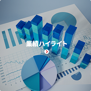 業績ハイライト